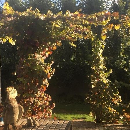 Trentham A'Meadow Bed & Breakfast エクステリア 写真